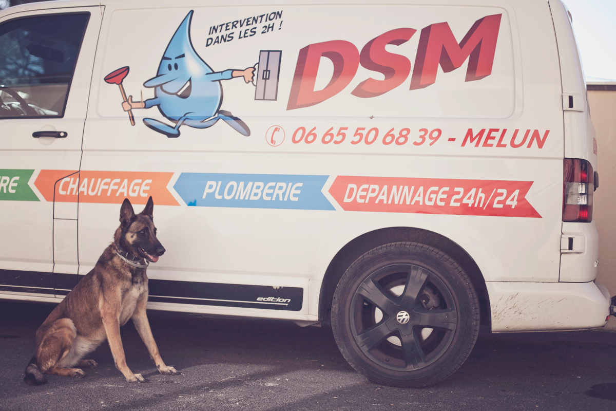 Logo de DSM Melun